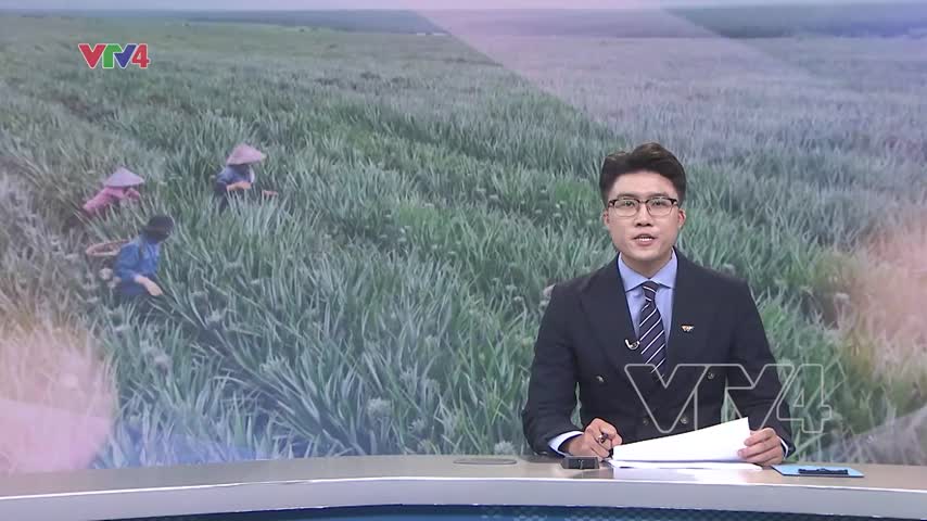 Chuẩn bị các kịch bản ứng phó với diễn biến thị trường