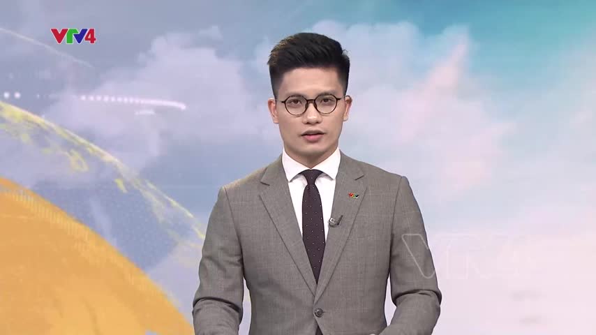 Xuất hiện cá voi ở vùng biển ven bờ Phú Yên