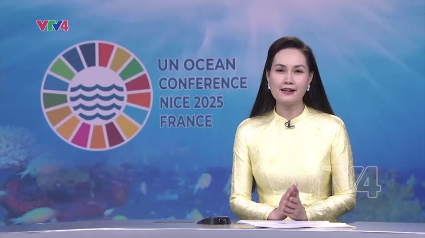 Đại dương đang đối mặt với những thách thức nghiêm trọng