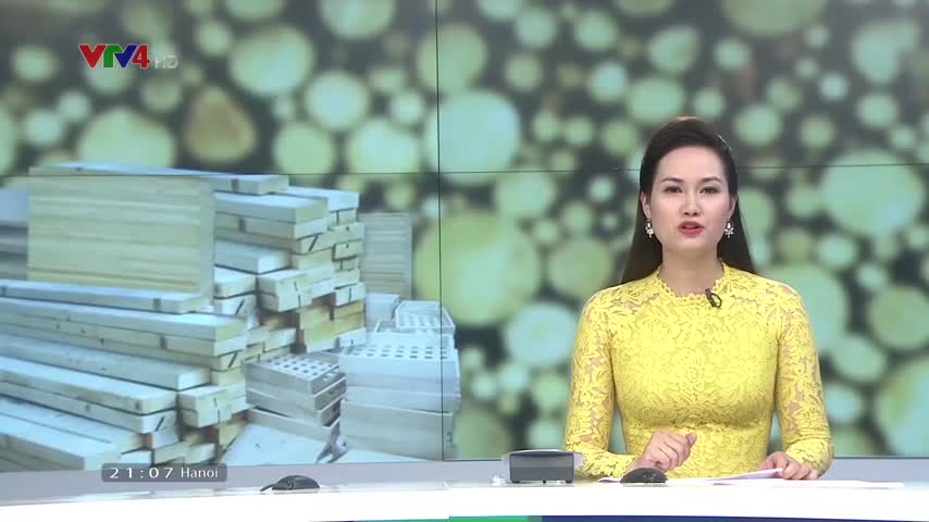 Doanh nghiệp Việt đảm bảo nguồn gốc gỗ hợp pháp theo quy định của VPA/FlEGT