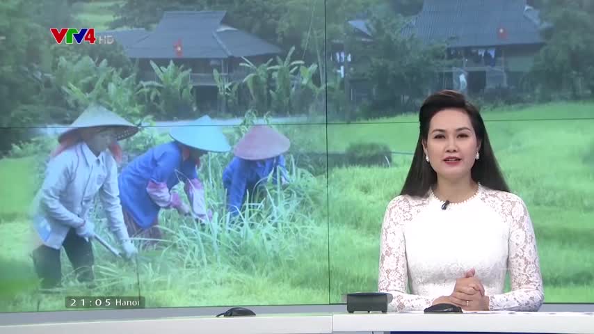 Đảm bảo phát triển bao trùm