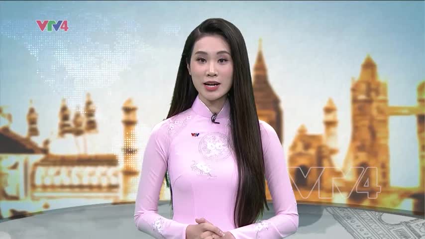 Tình nguyện viên Việt Nam tại Euro 2024