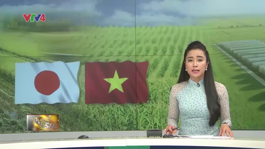 Diễn đàn kết nối Việt – Nhật về nông nghiệp