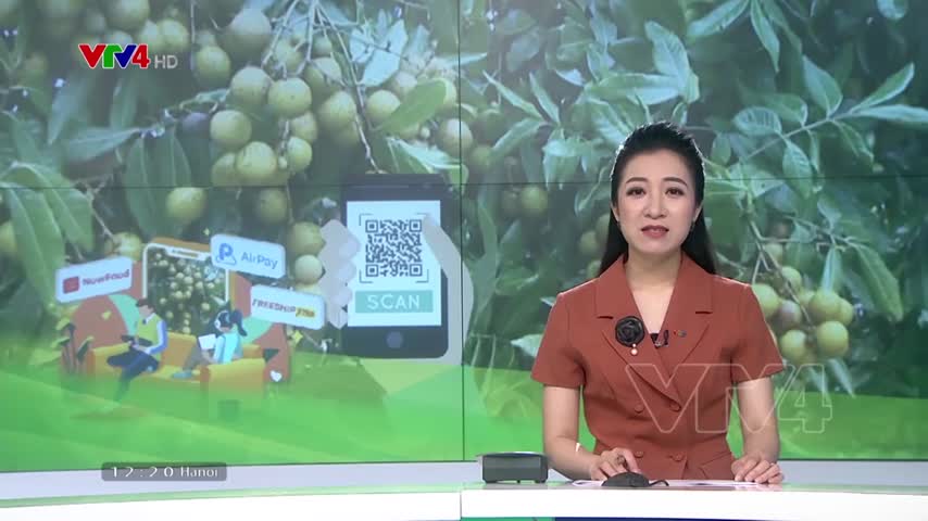 Nông dân Cao Lãnh bán nhãn online