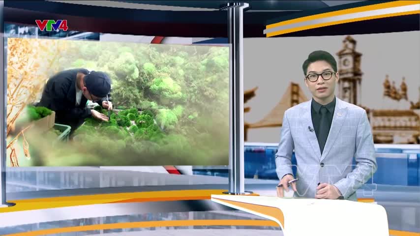 Chàng trai lan tỏa lối sống xanh với tranh từ rêu