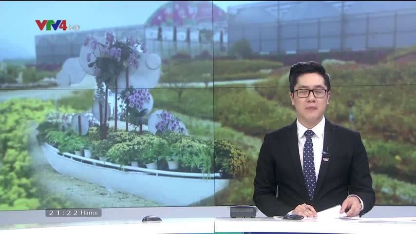 Thung lũng hoa - điểm hẹn mới của du lịch Ninh Bình