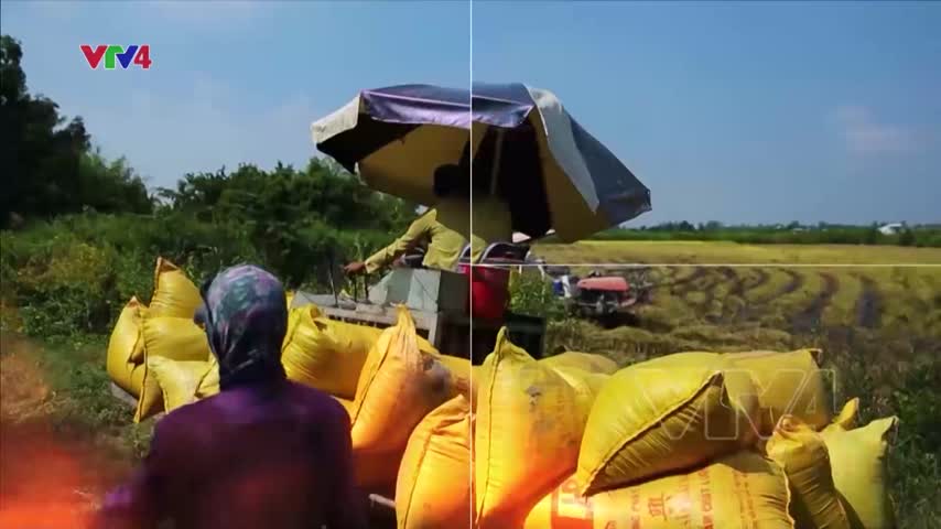 Tiêu điểm: Đa dạng hóa thị trường xuất khẩu
