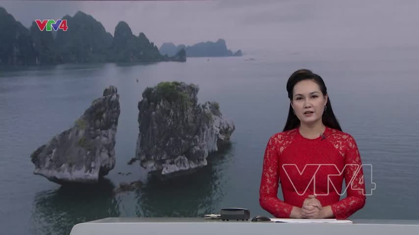 Giải pháp bảo tồn hòn Trống Mái, Vịnh Hạ Long