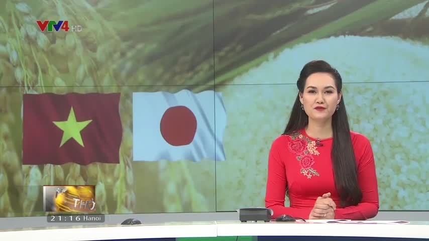Tăng cường hợp tác Việt – Nhật trong sản xuất và tiêu thụ gạo