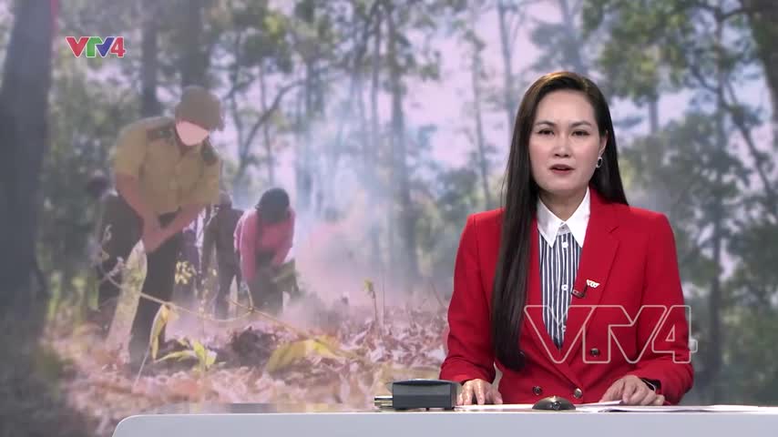 Phối hợp phòng, chống cháy rừng mùa khô 