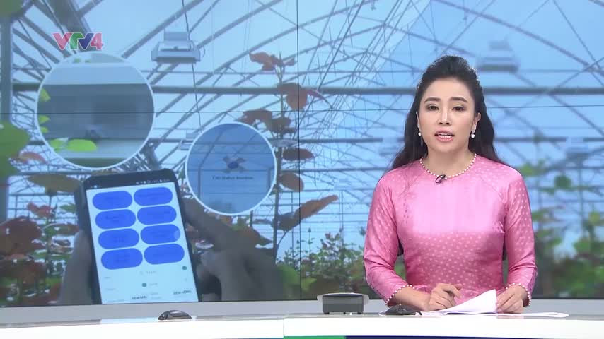 Xây dựng Đà Lạt trở thành thành phố thông minh