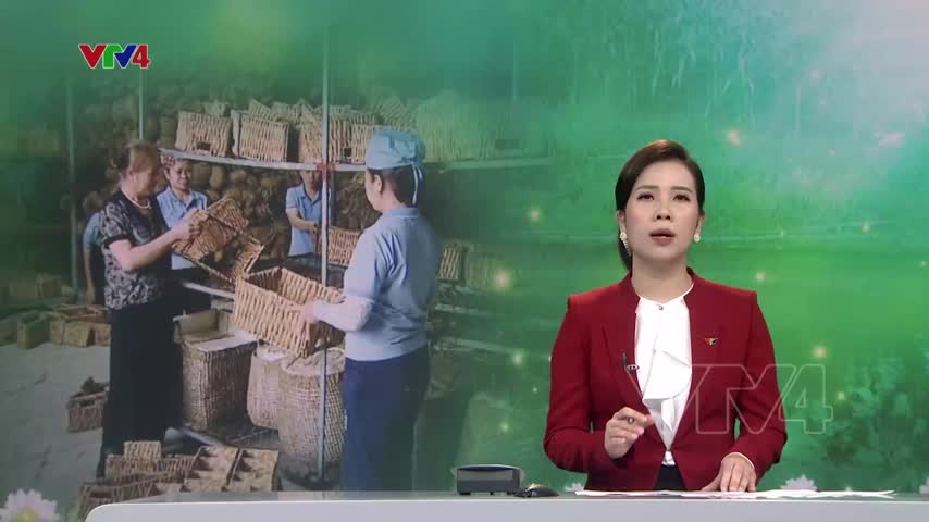 Người cao tuổi là đối tượng cần giảm nghèo