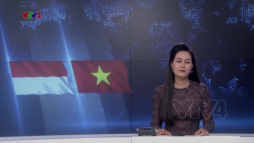Thúc đẩy quan hệ đối tác chiến dịch Việt Nam - Indonesia
