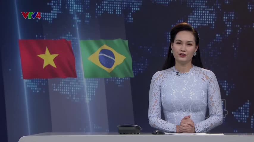 Thúc đẩy quan hệ đối tác toàn diện Việt Nam - Brazil