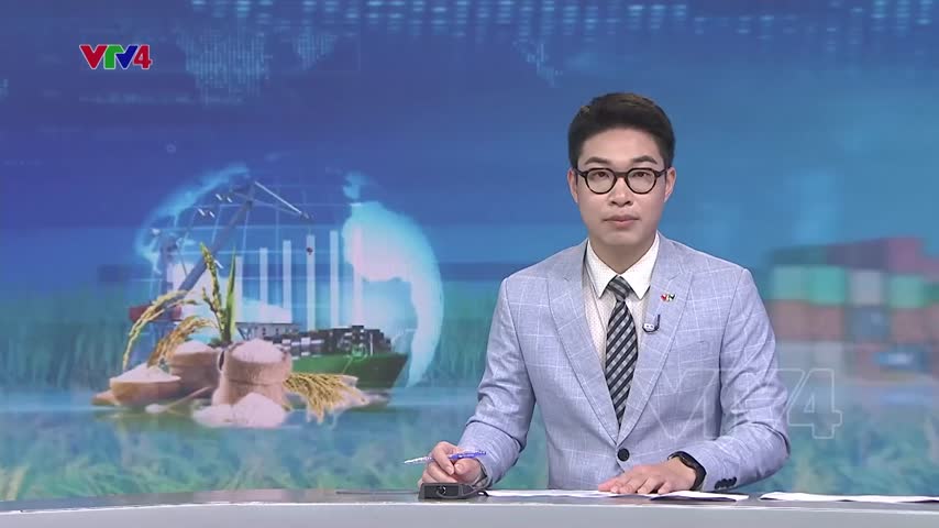 Chủ động mở rộng thị trường xuất khẩu gạo