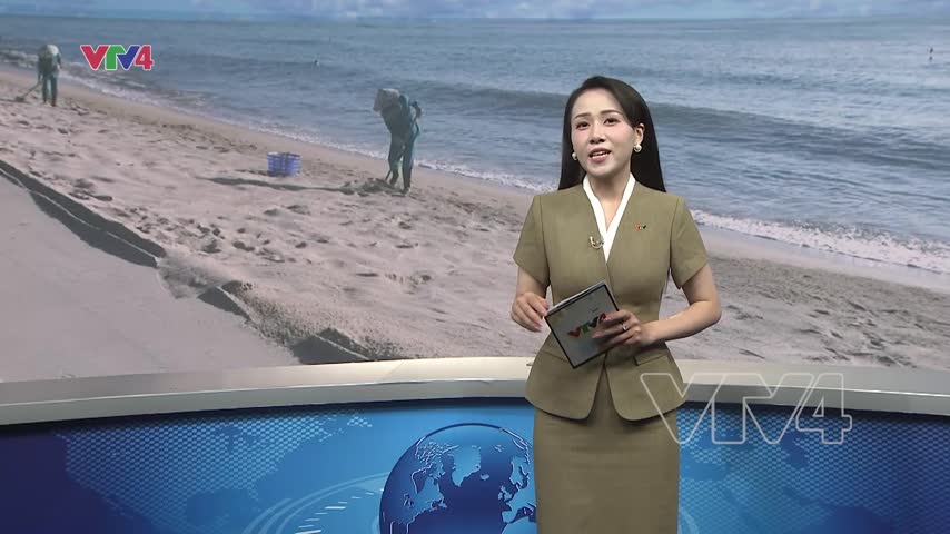 Những người phụ nữ giữ biển ở Quảng Trị