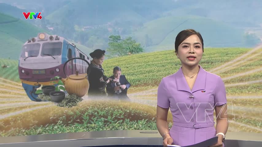 Vận hành tàu du lịch phục vụ Festival trà