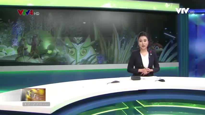 Triển lãm 