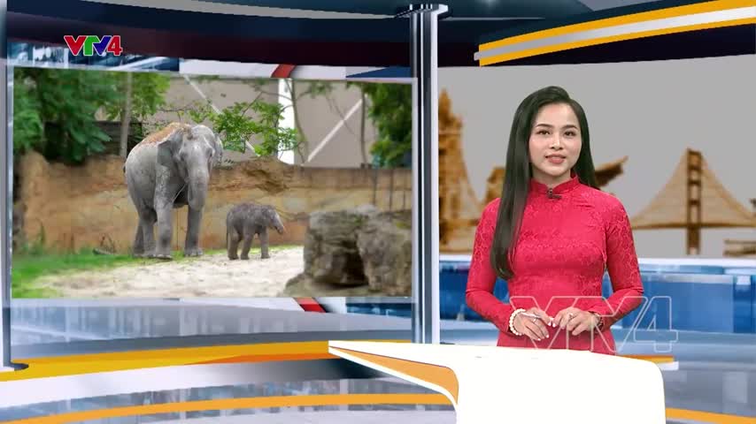 Hội Người Việt Leipzig tặng quà và thăm vườn thú Leipzig nhân ngày Voi thế giới