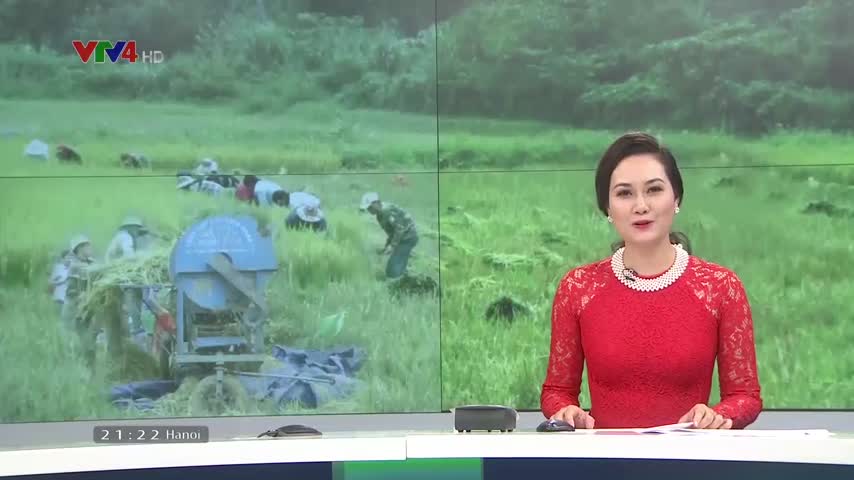 Đồng bào Rục vui mùa lúa mới