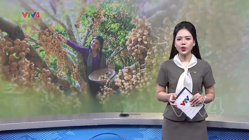 Du lịch canh nông vào cao điểm
