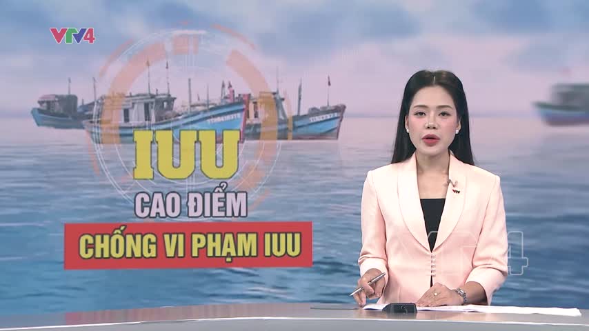 Tăng cường kiểm soát, ngăn chặn vi phạm IUU