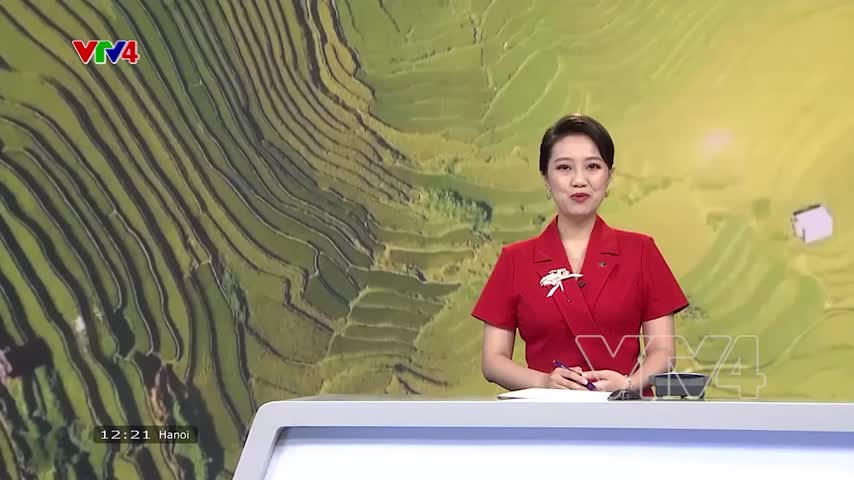 Mùa vàng Tây Bắc
