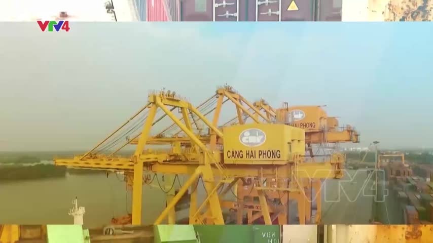 Focus: Thách thức của vận tải biển Việt Nam trên sân nhà