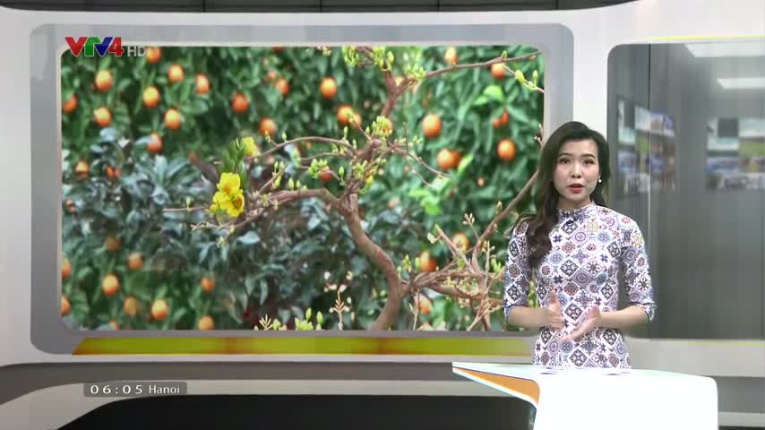 Thị trường phục vụ Tết Việt tại Vientiane, Lào