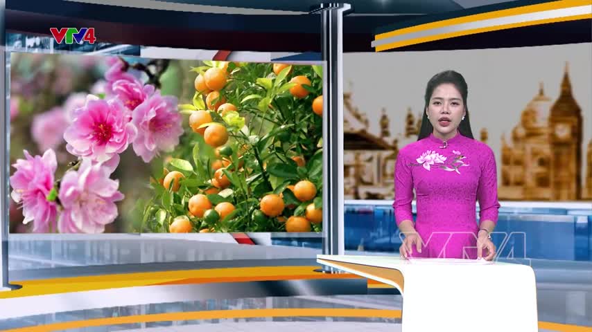 Hà Nội: Thị trường hoa Tết sôi động sớm