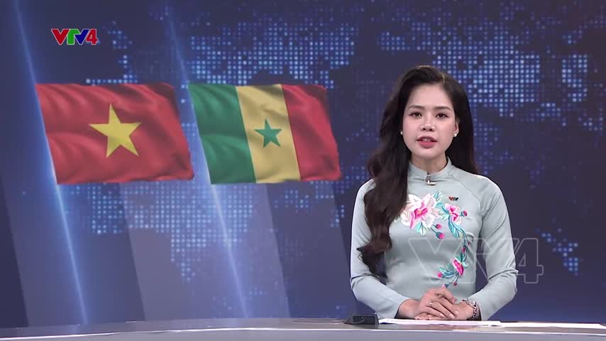 Thúc đẩy tình hữu nghị Việt Nam - Senegal