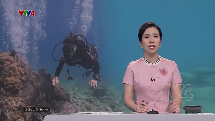 Cộng đồng bảo vệ san hô