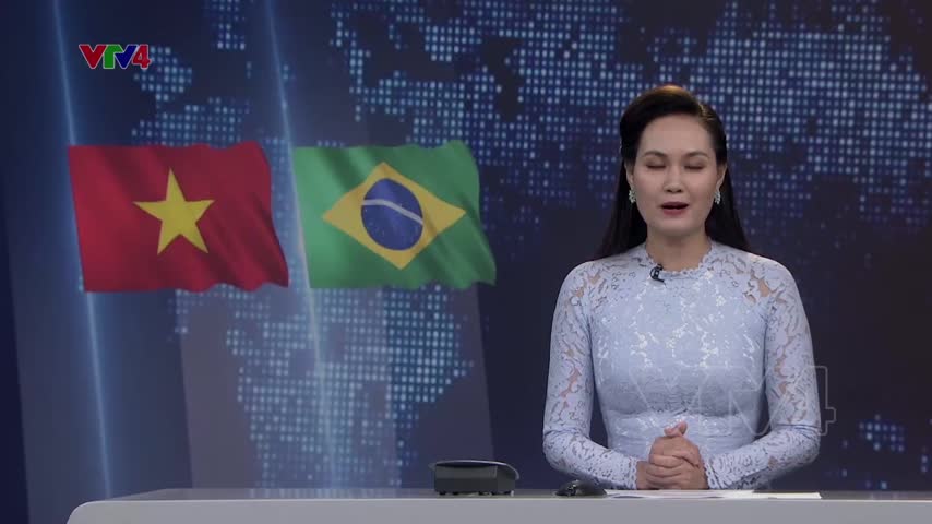 Đẩy mạnh kết nối doanh nghiệp Việt Nam - Brazil