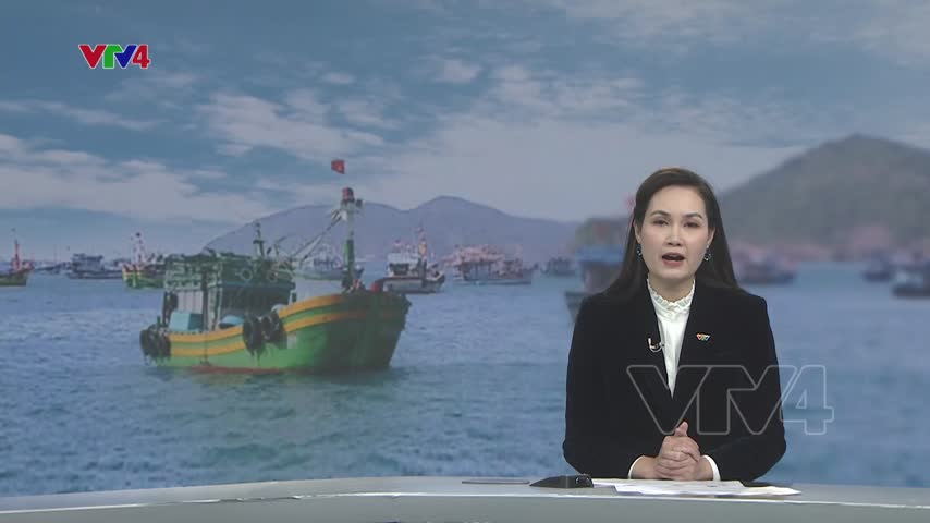 Chuyển biến trong chống khai thác hải sản bất hợp pháp