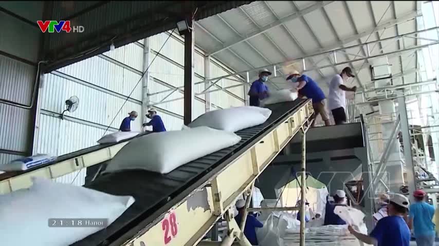 Focus: Gạo Việt Nam chinh phục thị trường khó tính