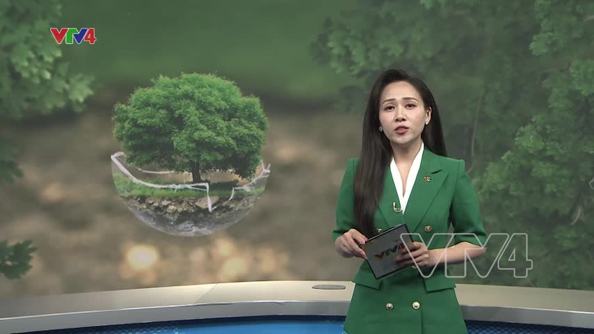 Chung tay bảo vệ môi trường