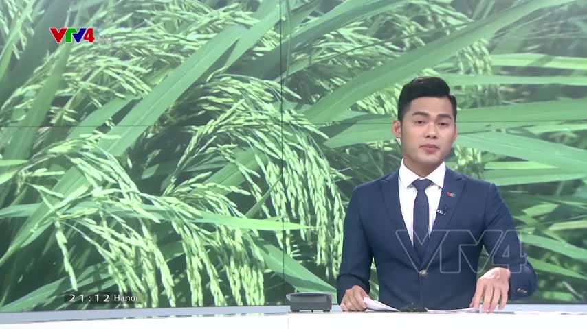 Đồng bằng sông Cửu Long cơ bản đối phó hạn mặn