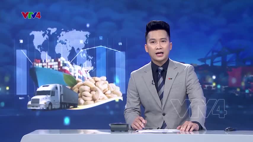 8 Container điều của Việt Nam được chuyển bán sang Hà Lan