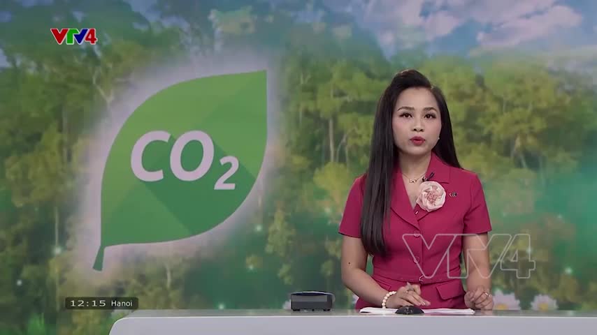 Sớm hoàn thiện khung pháp lý giao dịch tín chỉ carbon rừng