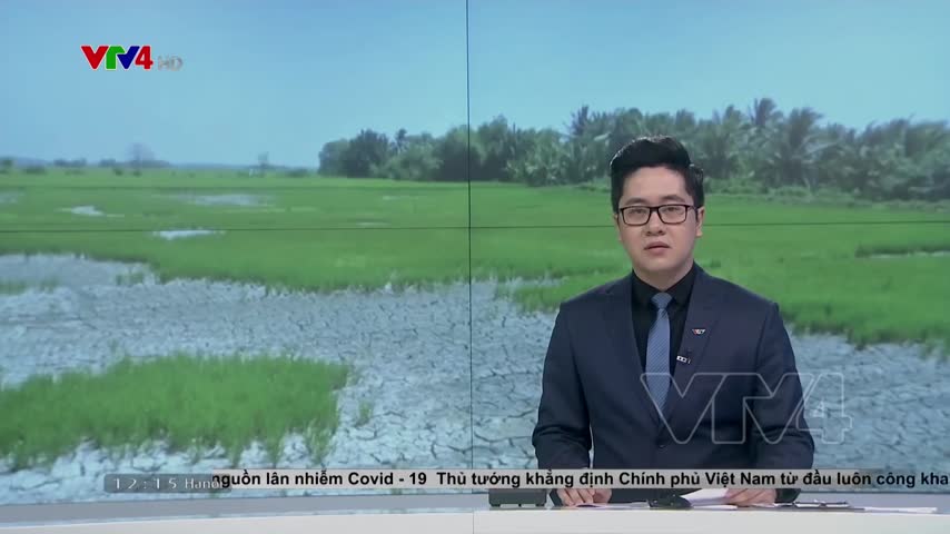 Nỗ lực cứu lúa khô hạn