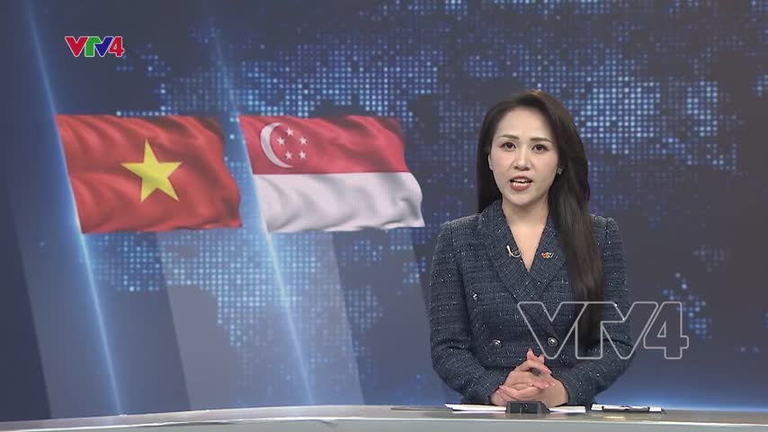 Lễ đón Tổng Bí thư, Chủ tịch nước thăm cấp nhà nước tới Singapore