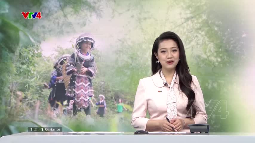 Gửi tre cho rừng