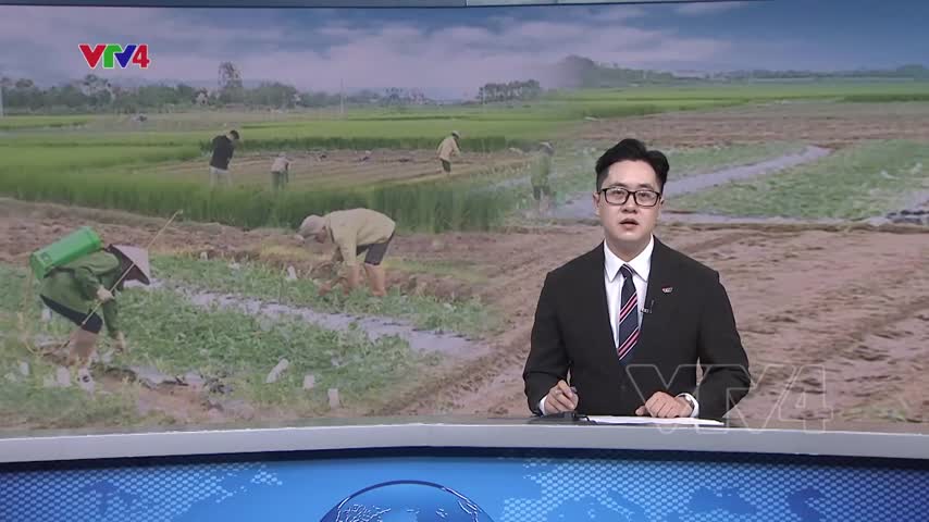 Nhìn lại thiên tai năm 2024