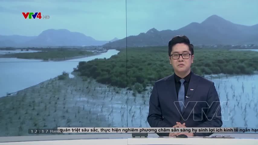 Kinh nghiệm khôi phục rừng ngập mặn