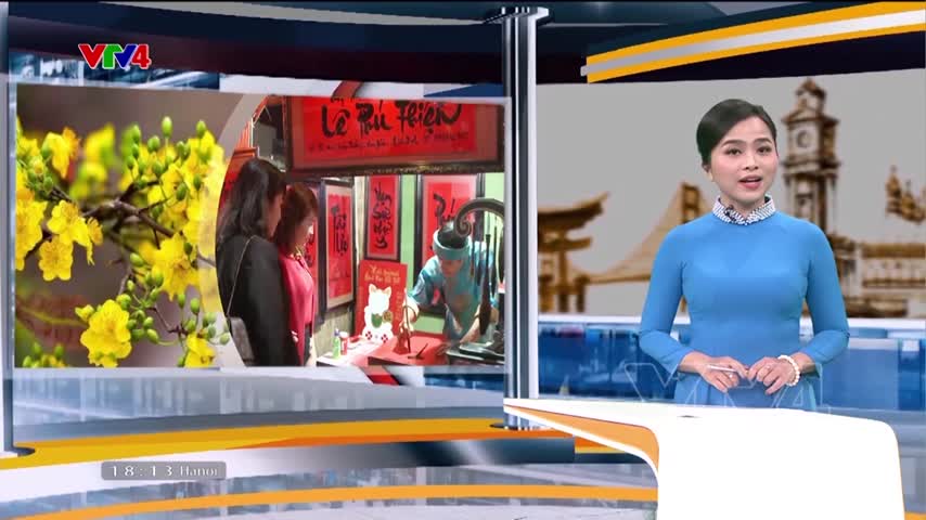 Bình Định khai mạc Lễ hội Mai vàng An Nhơn