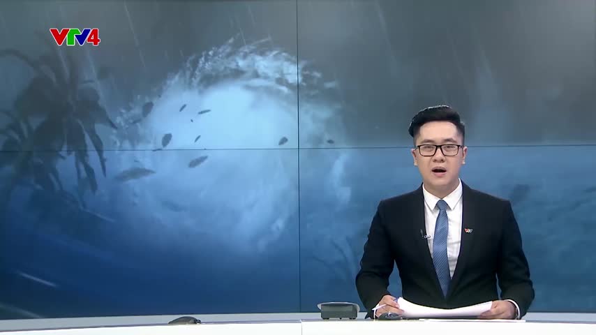 Điều chỉnh các chuyến bay do bão số 3