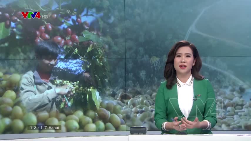 Người đánh thức giá trị cà phê đặc sản