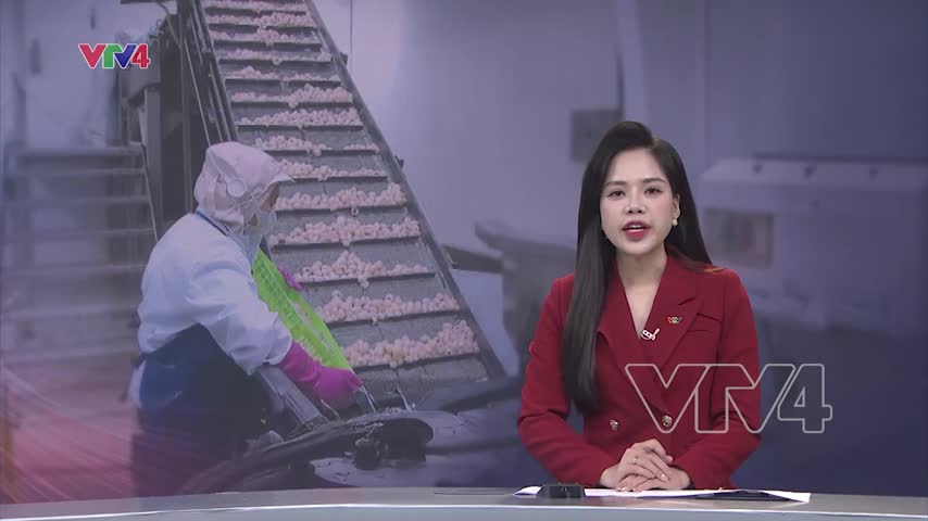 Chế biến sâu nâng cao giá trị nông sản