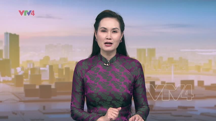 Thúc đẩy hợp tác địa phương Việt Nam - Nhật Bản