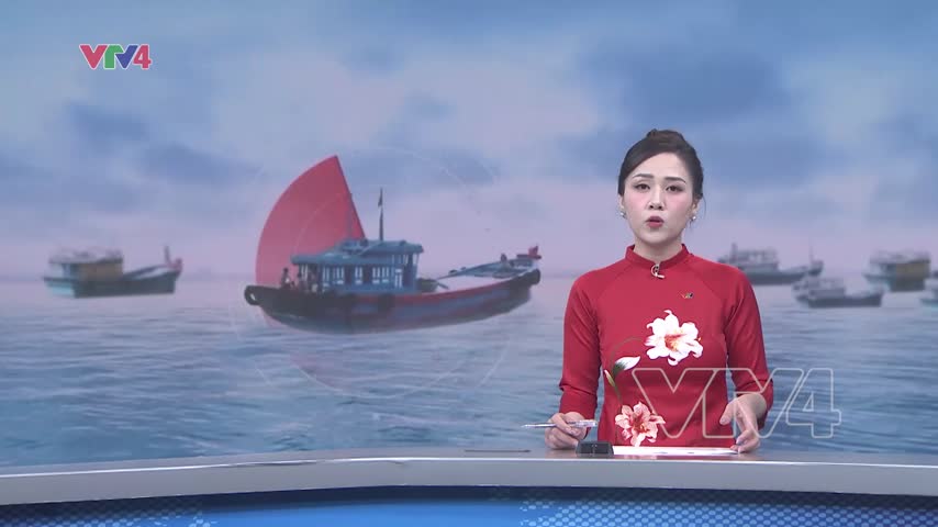 Cao điểm kiểm tra chống khai thác hải sản bất hợp pháp